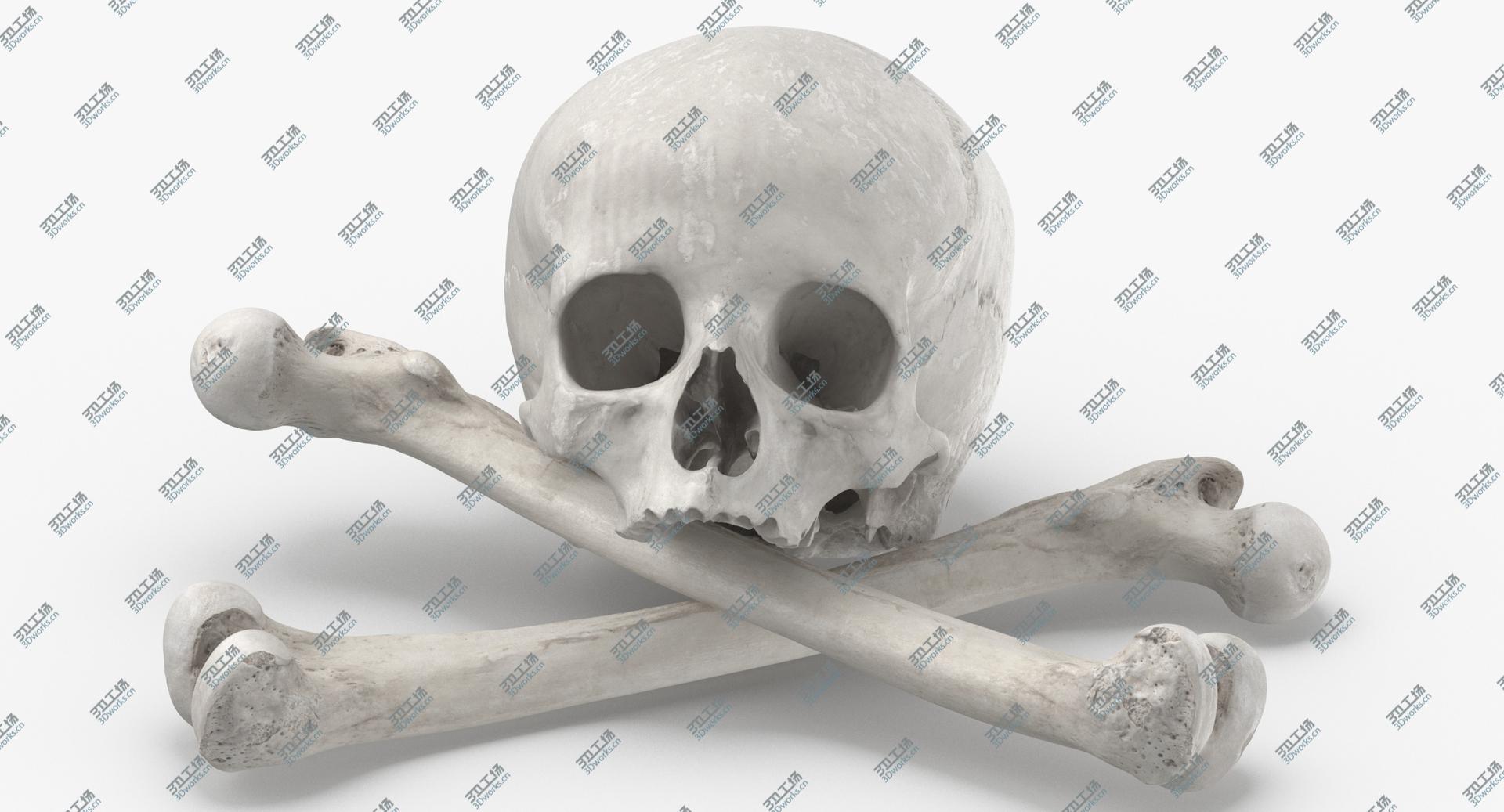 images/goods_img/202104021/3D Pirate Skull and Bones Compostion 01 White/5.jpg